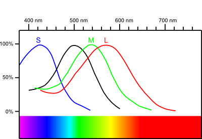 wavelength_human_eye