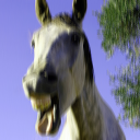 horse_128