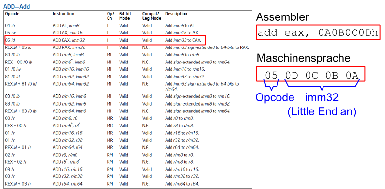 asm_reference